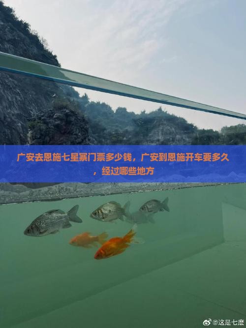 广安去恩施七星寨门票