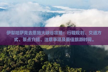 伊犁哈萨克去恩施大峡谷攻略