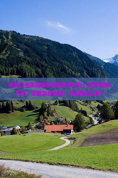 张家口去恩施梭布垭石林旅行社