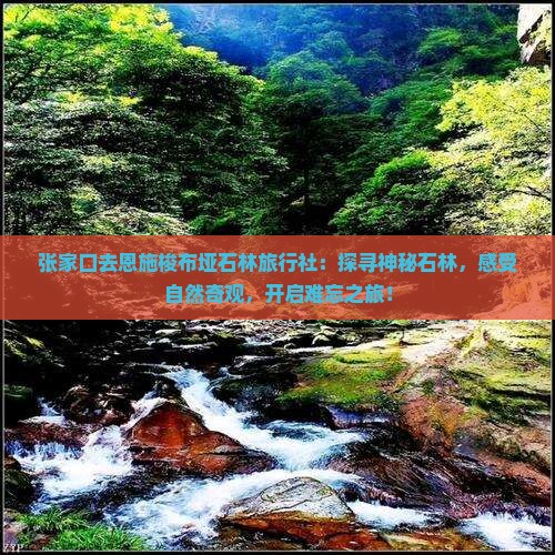 张家口去恩施梭布垭石林旅行社