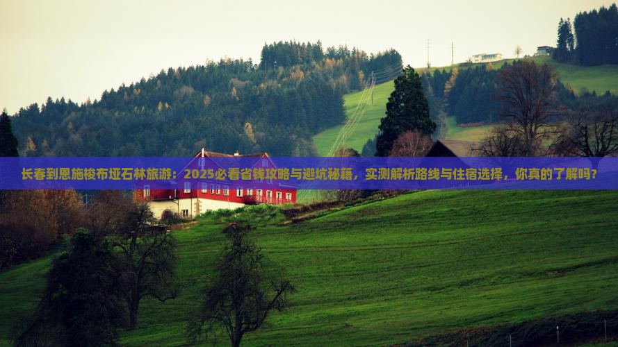 长春到恩施梭布垭石林旅游