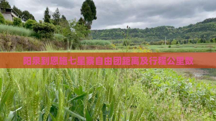 阳泉到恩施七星寨自由团距离及行程公里数