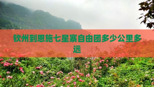 钦州到恩施七星寨自由团多少公里多远