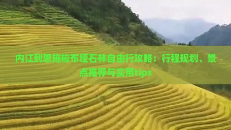 内江到恩施梭布垭石林自由行攻略：行程规划、景点推荐与实用tips