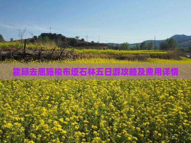 霍邱去恩施梭布垭石林五日游攻略及费用详情