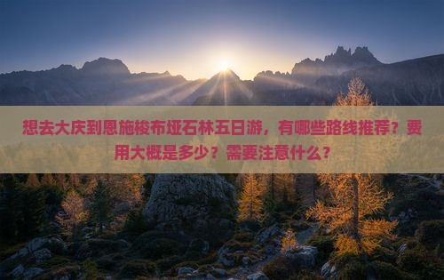 大庆去恩施梭布垭石林五日游