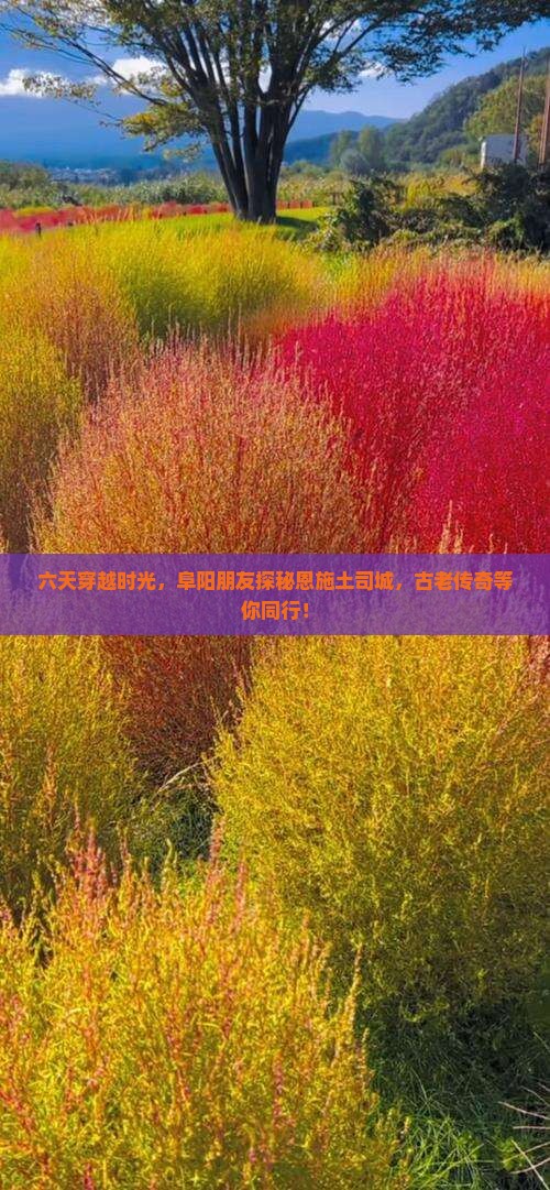 阜阳到恩施土司城六日游