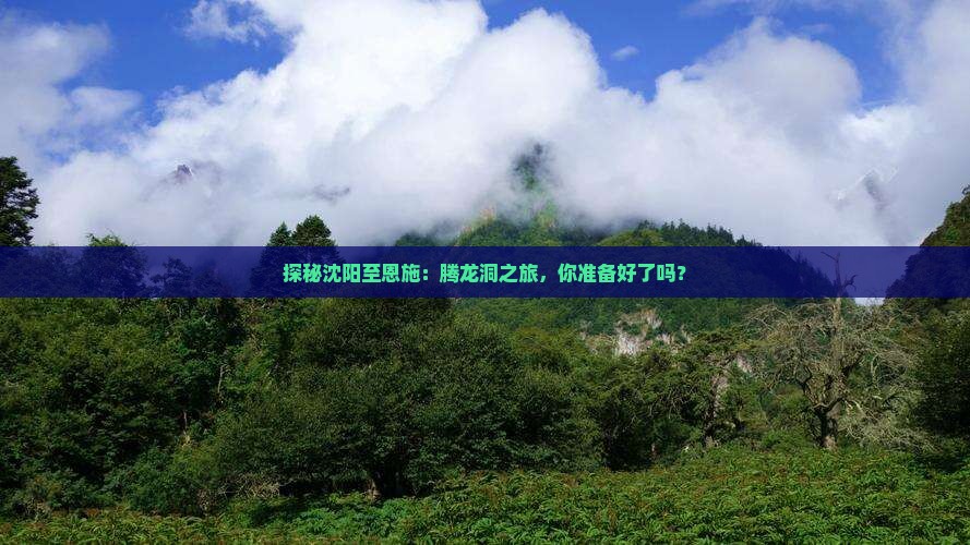 沈阳到恩施腾龙洞攻略