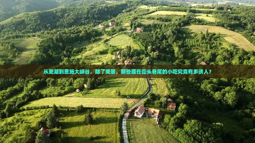 芜湖去恩施大峡谷旅游小吃