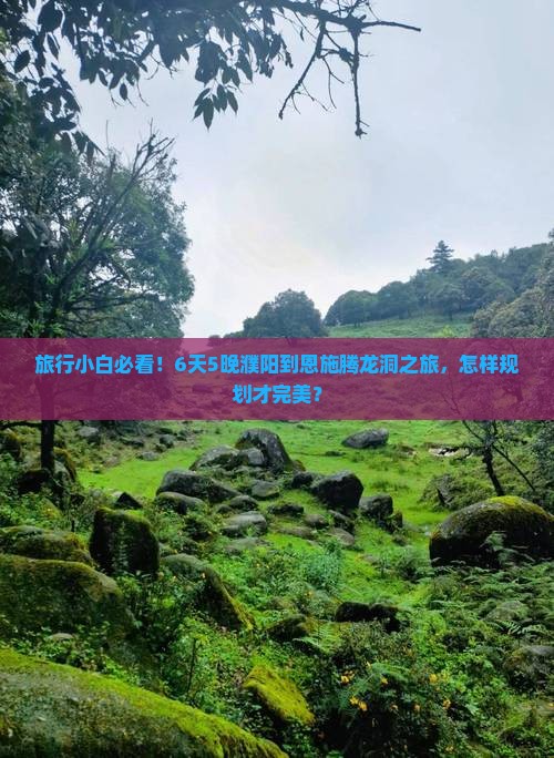 濮阳到恩施腾龙洞六日游