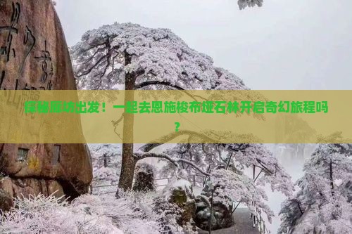 廊坊去恩施梭布垭石林大型旅游团