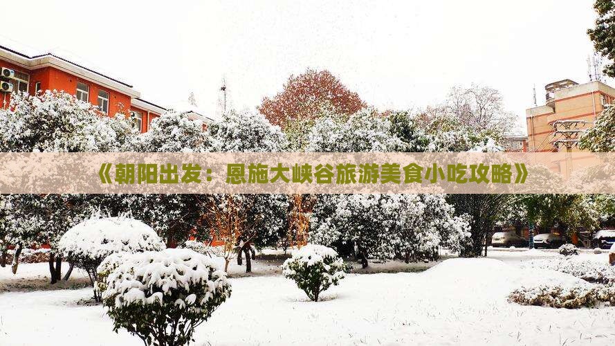 朝阳到恩施大峡谷旅游小吃