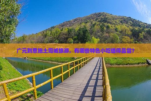广元到恩施土司城旅游小吃