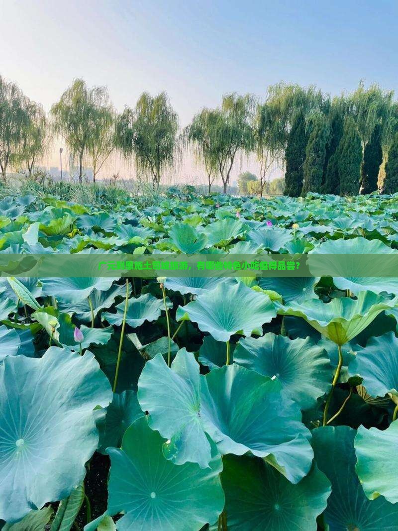广元到恩施土司城旅游小吃
