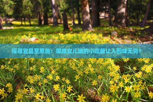 宜昌到恩施土家女儿城旅游小吃