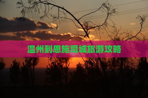 温州到恩施土司城个人游