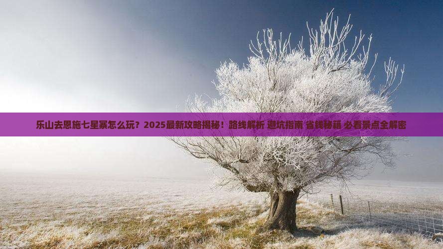 乐山去恩施七星寨一日
