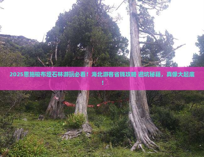 海北去恩施梭布垭石林哪里玩