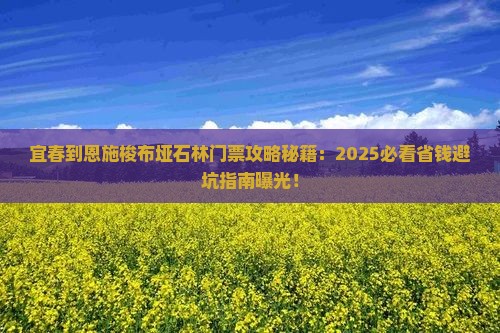 宜春到恩施梭布垭石林门票