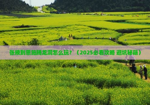 张掖到恩施腾龙洞门票