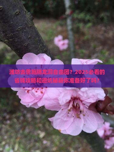 潍坊去恩施腾龙洞自由团