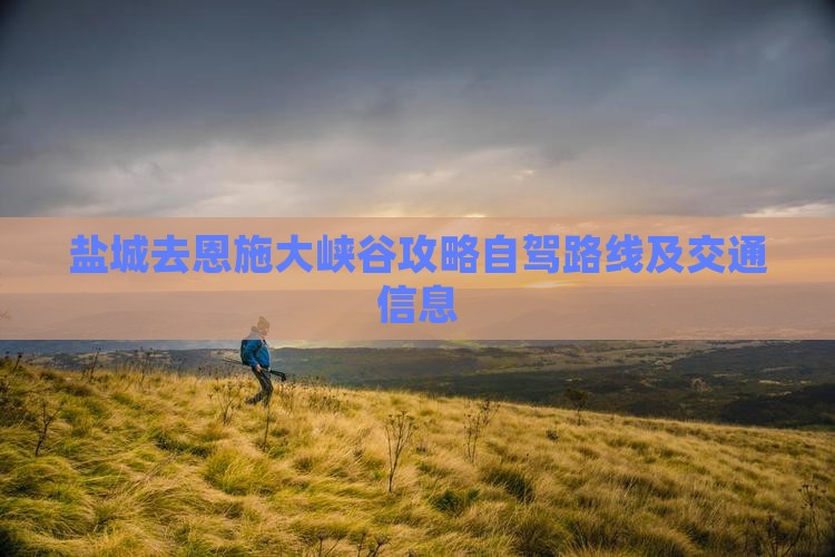 盐城去恩施大峡谷攻略