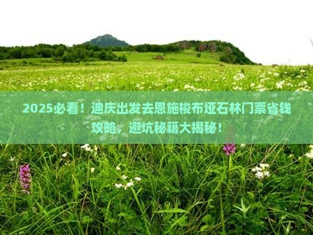 迪庆去恩施梭布垭石林门票