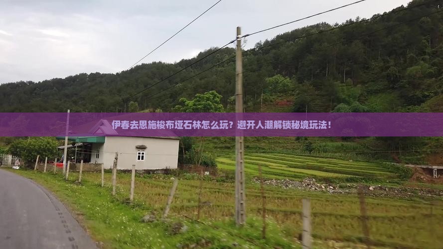 伊春去恩施梭布垭石林哪里玩
