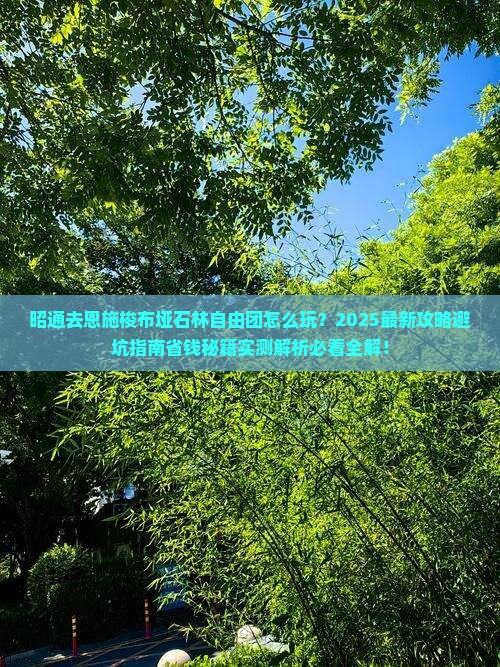 昭通去恩施梭布垭石林自由团
