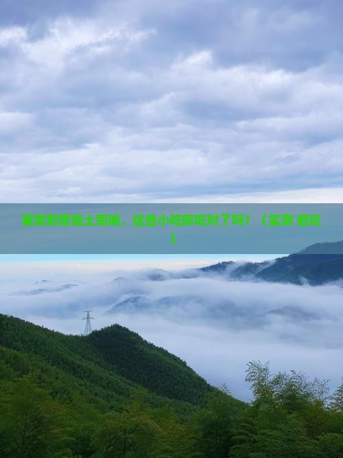 襄樊到恩施土司城旅游小吃