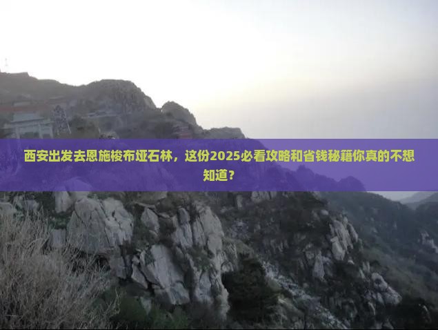 西安到恩施梭布垭石林门票