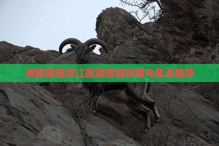 绵阳去恩施清江画廊景点