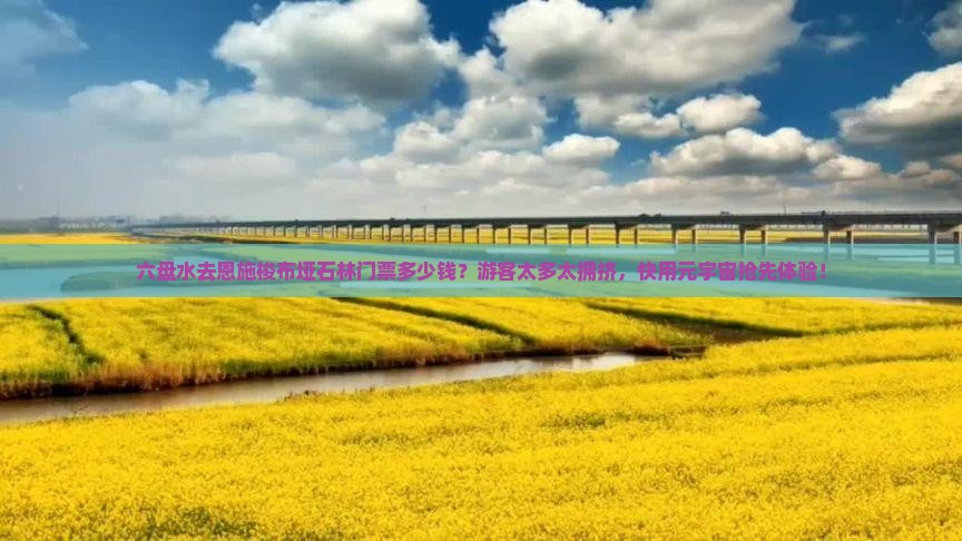 六盘水去恩施梭布垭石林门票