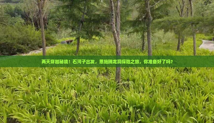 石河子到恩施腾龙洞二日游