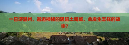 温州到恩施土司城一日