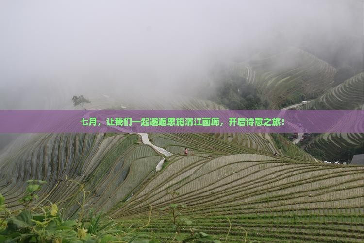 七月去恩施清江画廊旅行社