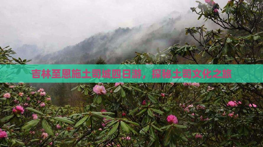 吉林去恩施土司城四日游