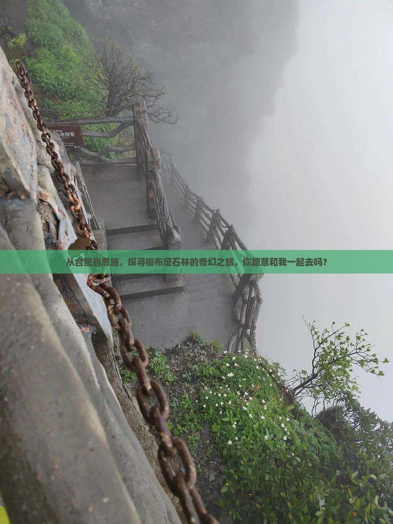 合肥到恩施梭布垭石林团体旅游