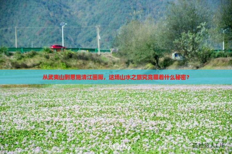 武夷山去恩施清江画廊旅游