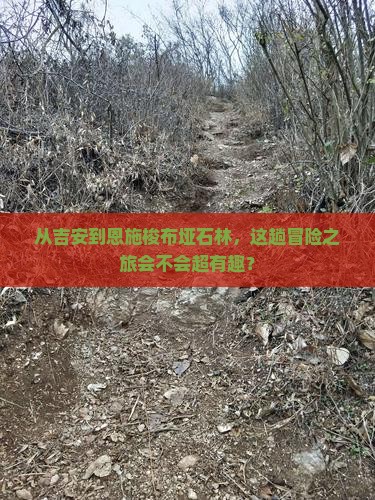 吉安去恩施梭布垭石林旅游
