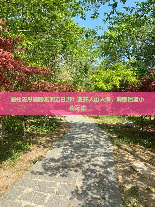 通化去恩施腾龙洞五日游 通化去恩施腾龙洞五日游