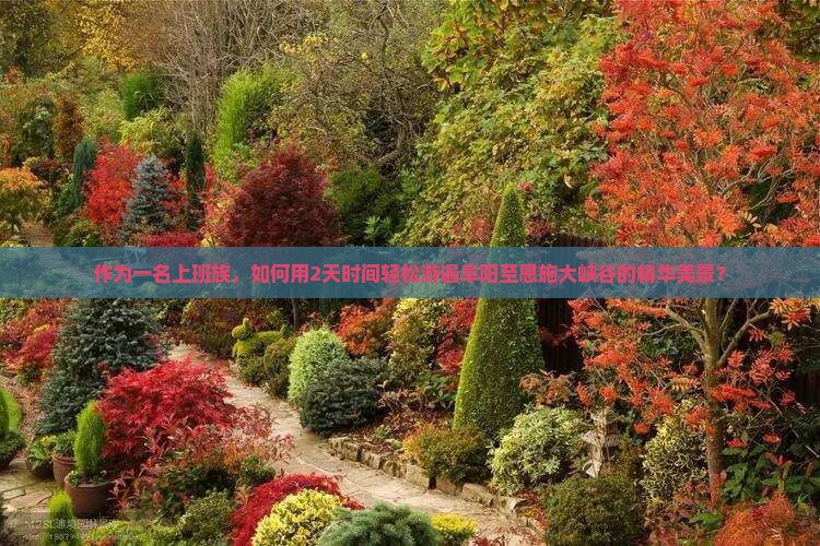 阜阳到恩施大峡谷二日游