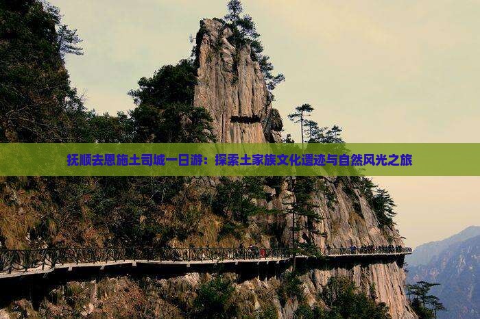 抚顺去恩施土司城一日