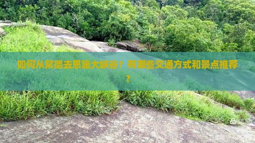 常德去恩施大峡谷攻略