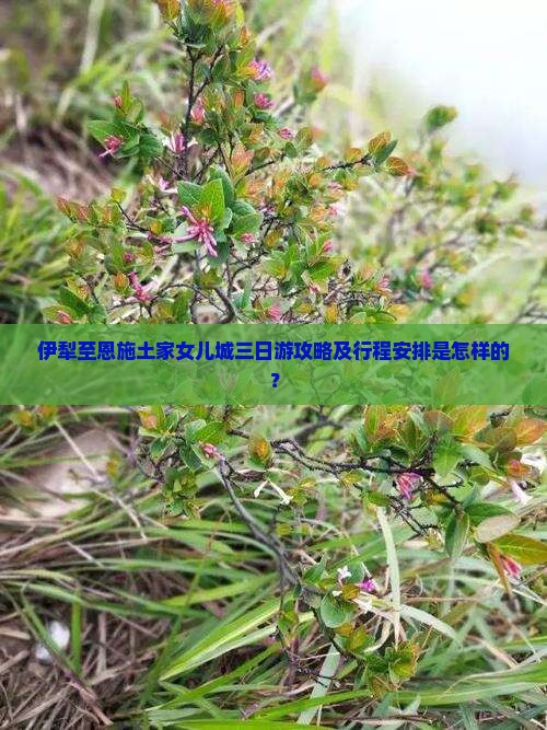 伊犁到恩施土家女儿城三日游