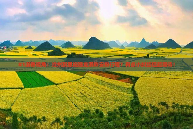 沧州到恩施腾龙洞旅行社