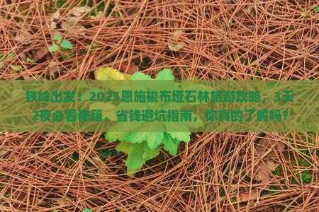 铁岭到恩施梭布垭石林旅游