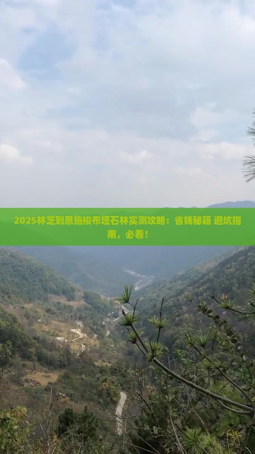 林芝到恩施梭布垭石林旅游