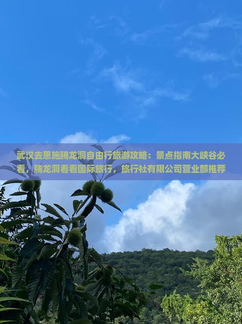 武汉去恩施腾龙洞自由行