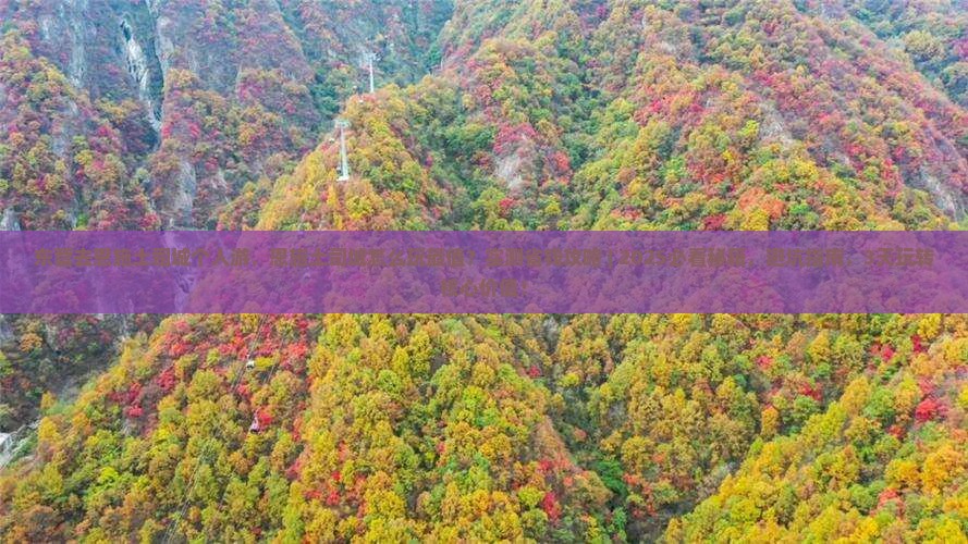 东营去恩施土司城个人游